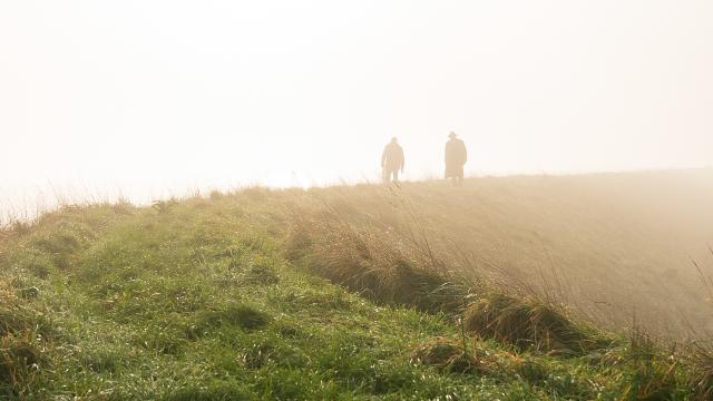 bewoners_meenemen